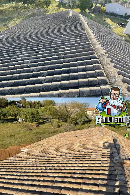 Travaux de Nettoyage de Toiture à Angoulême (16)