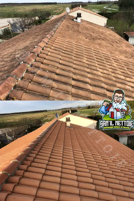 Travaux de Nettoyage de Toiture à Angoulême AVANT APRES