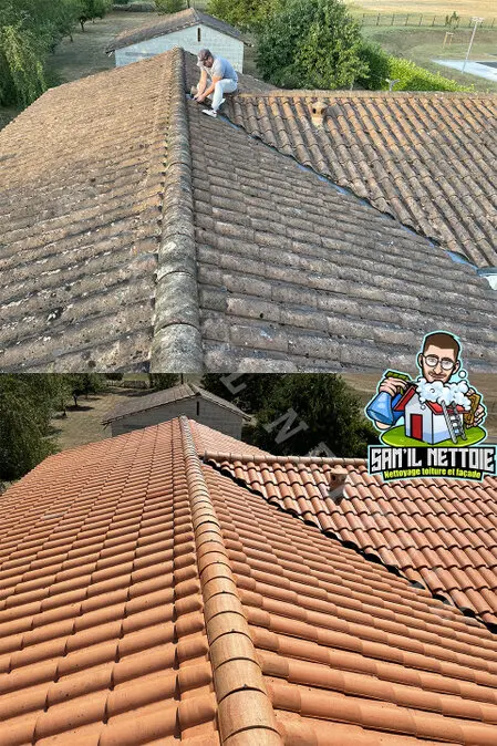Travaux de Nettoyage de Toiture à Angoulême (16)