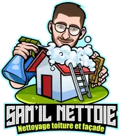 Sam il Nettoie Logo