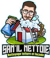 Sam il Nettoie Logo